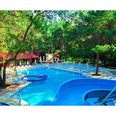 Festival Nature Hotel Kemer Exterior photo